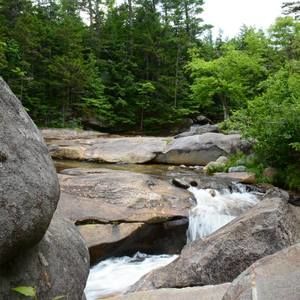 Meet your Posher, Paul